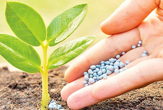  بیش از ۴۱ هزار حواله الکترونیک در چهارمحال و بختیاری صادر شد