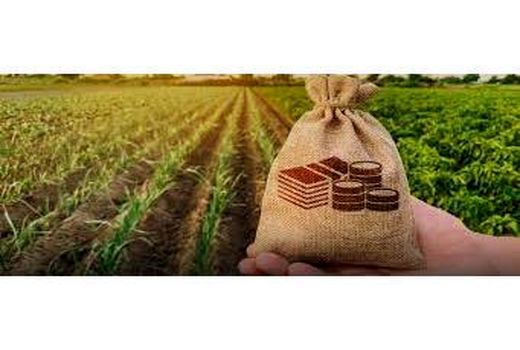 پرداخت 330 میلیارد ریال تسهیلات کشاورزی در بابل