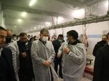 بازدید وزیر جهاد کشاورزی از کشتارگاه دام احسان ری در استان تهران