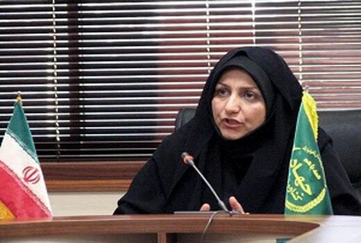 خرید گندم در استان قزوین از مرز ۱۰۰ هزار تن گذشت