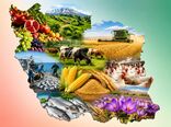 خوراک دام، گندم، روغن، برنج و لبنیات؛ زنجیره اولویت‌دار امنیت غذایی