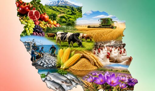 خوراک دام، گندم، روغن، برنج و لبنیات؛ زنجیره اولویت‌دار امنیت غذایی
