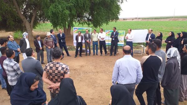 برگزاری کاروان ترویجی ارتقای بهره وری کشاورزی در استان ایلام