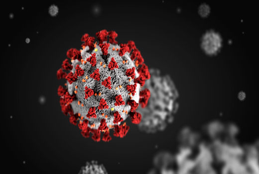 خسارت 23 هزار میلیارد ریالی کرونا به گلخانه‌ها/ ارسال اطلاعات جمع‌آوری شده به کمیسیون اقتصادی دولت