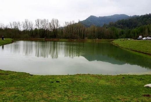 تولید ۱۱ هزار تن ماهی خوارکی در کردستان