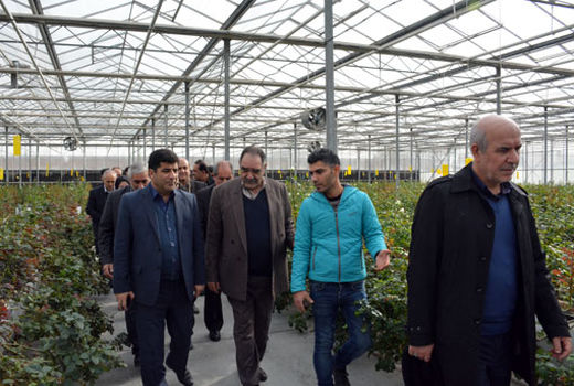  یکی از برنامه راهبردی دولت توسعه طرح‌های گلخانه ای است