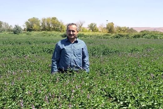 جلوگیری استفاده از آب‌های نامتعارف برای آبیاری محصولات کشاورزی در شهرستان تبریز