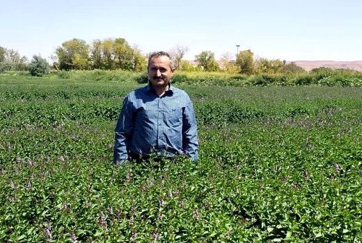 جلوگیری استفاده از آب‌های نامتعارف برای آبیاری محصولات کشاورزی در شهرستان تبریز