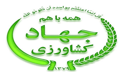 برگزاری کارگاه آموزشی ترویجی رعایت اصول به زراعی به نژادی تولید گندم در استان بوشهر