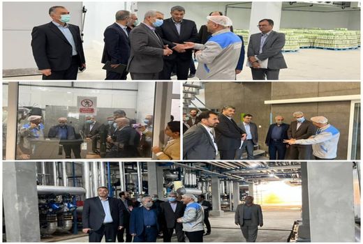 بازدید معاون وزیر جهاد کشاورزی از خط تولید صنایع غذایی کاسپین