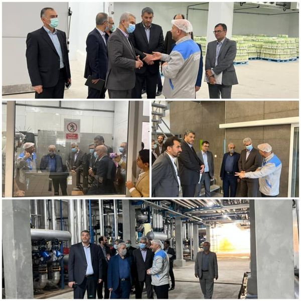بازدید معاون وزیر جهاد کشاورزی از خط تولید صنایع غذایی کاسپین