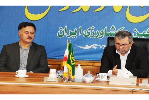 افزایش 80 درصد تولید پیله کرم ابریشم در کشور/ تولید 30 هزارجعبه تخم نوغان