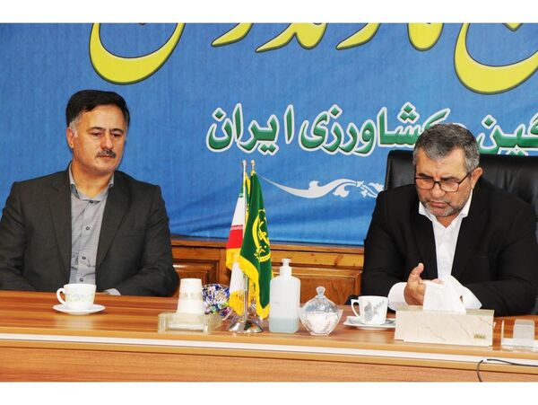 افزایش 80 درصد تولید پیله کرم ابریشم در کشور/ تولید 30 هزارجعبه تخم نوغان
