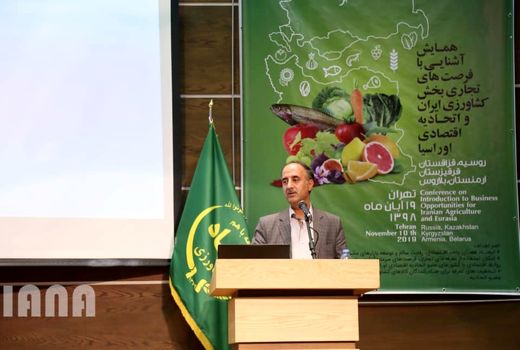 گام بلند ایران برای رسیدن به تجارت آزاد