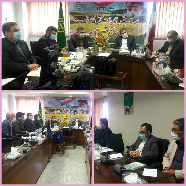 صدور اسناد تک برگ مالکیت اراضی کشاورزی مهمترین هدف اجرای رفع تداخلات اراضی