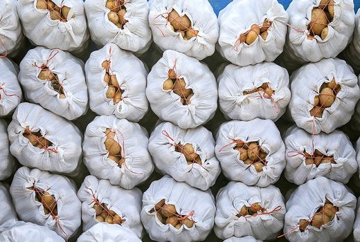 دولت از ظرفیت بورس کالا در ساماندهی بازار محصولات کشاورزی بهره ببرد