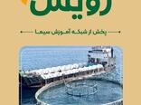 نقش سازمان شیلات در توسعه اقتصاد دریامحور