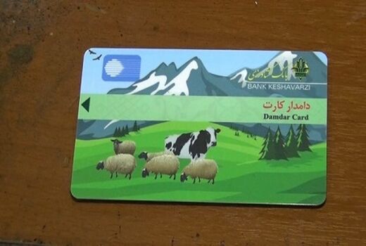 دریافت تسهیلات  به مرغداران تا سقف 500 میلیون تومان  بدون نیاز به وثیقه 