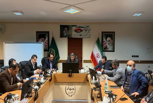 عرضه هوشمند گوشت مرغ گرم و منجمد و گوشت قرمز در استان تهران