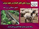 بهره برداری از چهار طرح کشاورزی  به مناسبت هفته دولت در شهرستان زرند 