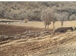 تلاش یگان حفاظت امور اراضی توقف و کنترل ساخت و ساز های غیر مجاز در استان لرستان 