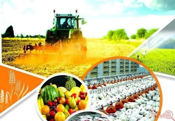 تحقق ۷۰ درصدی تعهد اشتغال جهاد کشاورزی البرز در ۴ ماه نخست سال