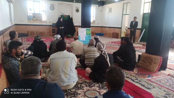 تشخیص و پیشگیری از آفات گندم در آبادان