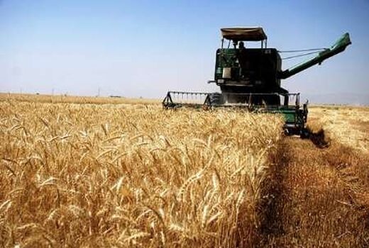 خرید 218 هزار تن گندم از گندم‌کاران استان آذربایجان شرقی تا پایان امروز