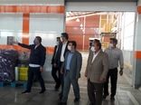 افزایش 27هزارتنی صنایع تکمیلی بخش کشاورزی شهرستان ری