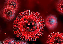 مساعدت ۱۴۰ میلیون ریالی از سوی کارمندان جهاد کشاورزی نهاوند به آسیب دیدگان کرونا