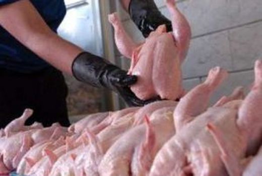 هیچ نگرانی برای بازار گوشت مرغ در عید نوروز و ماه رمضان وجود ندارد