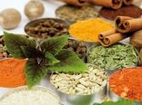 پیش‌بینی برداشت 11 تن گیاه دارویی در هرمزگان