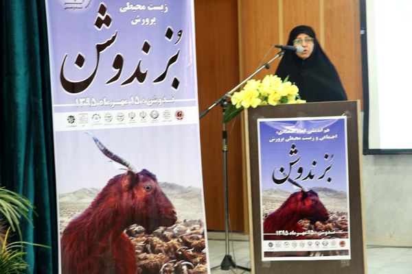 تولید 15 هزار تن شیر بز و گوسفند در یزد / ثبت جهانی بز ندوشن در سال 2017