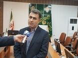 آغاز برداشت «پاچ باقالا» در گیلان
