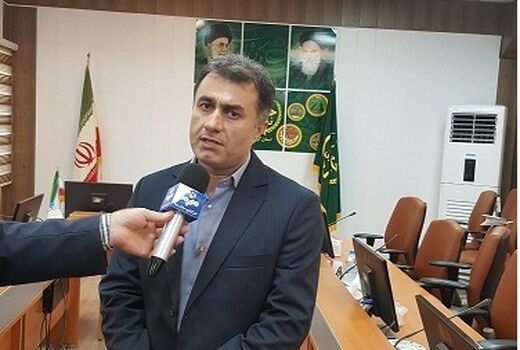 آغاز برداشت «پاچ باقالا» در گیلان