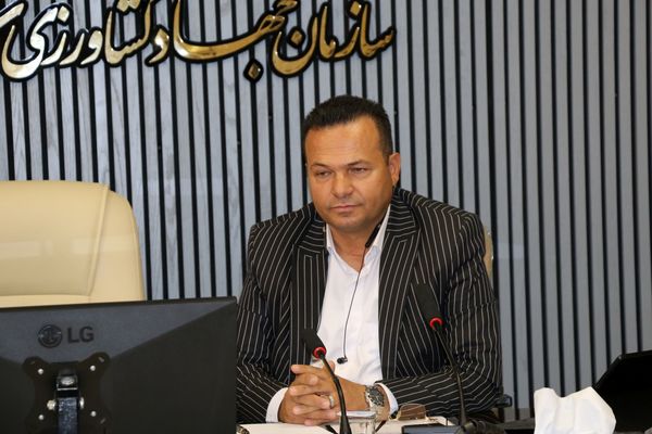بیش از ۳۰ درصد افزایش عملکرد مزارع تحت پوشش طرح جهش تولید