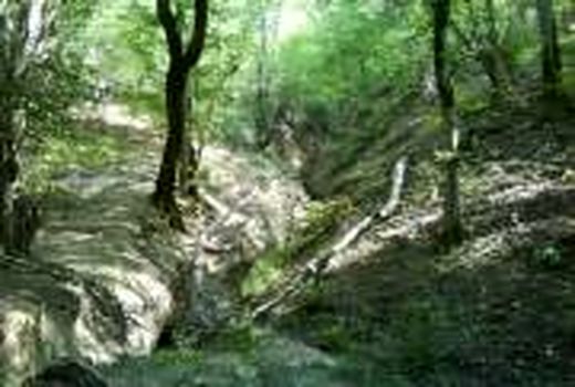 با آموزش مردم توانستیم برای حفظ منابع طبیعی موفق شویم