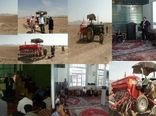 کشت کلزا در 150 هکتار از اراضی زراعی شهرستان خرم‌دره