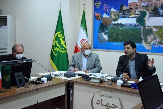 تولید محصولات زراعی و باغی بایستی طبق تقاضا و خواست بخش بازرگانی این نوع محصولات انجام شود