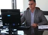 برداشت 1000 تن گردو از باغ های استان قم
