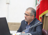 عملیات تولید نشا گوجه فرنگی و سایر صیفی جات در گلخانه‌های اتحادیه تعاون روستایی خراسان رضوی آغاز شد