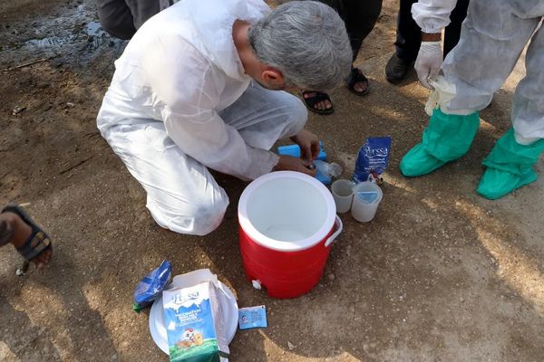 پایان فاز نهم طرح واکسیناسیون رایگان نیوکاسل در طیور بومی و روستایی استان خوزستان