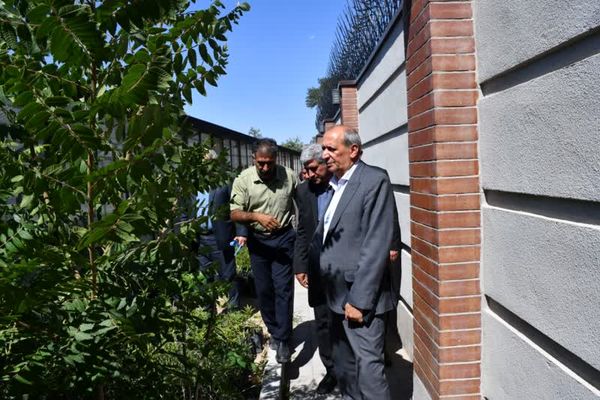 کشت گیاهان کمآببر، راهکاری برای سازگاری با تغییرات اقلیمی