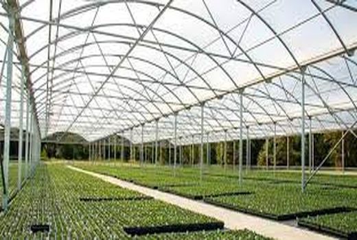 توسعه 1464.5 هکتار انواع گلخانه‌ها در 9 ماهه سال جاری