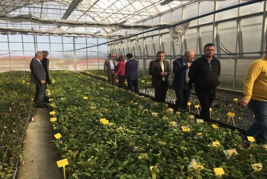 هفته دولت؛ تأکید بر تبدیل دستاوردهای تحقیقات باغبانی به فناوری، خدمت و توسعه اقتصادی