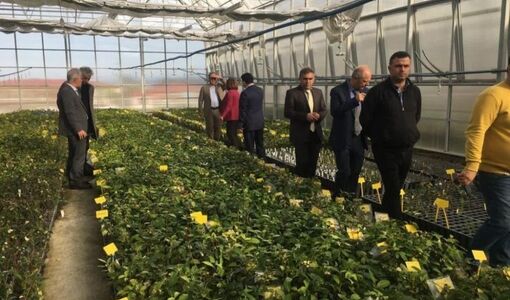 هفته دولت؛ تأکید بر تبدیل دستاوردهای تحقیقات باغبانی به فناوری، خدمت و توسعه اقتصادی