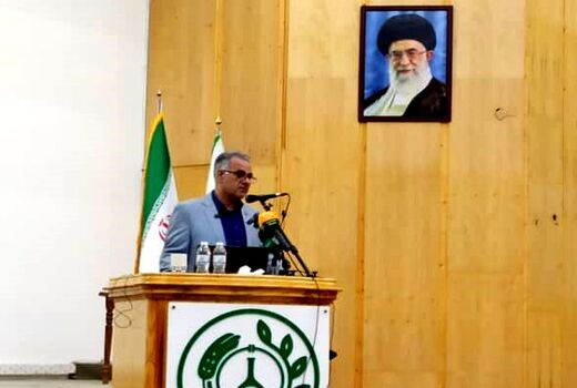 ارقام مقاوم گندم باعث صرفه‌جویی ۹۵۰ میلیون مترمکعب آب شد