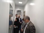 تاکید بر ایجاد نسخه پشتیبان برای حفاظت از منابع ژنتیکی