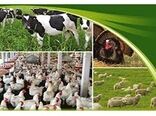توانمندسازی دامداران در کاهش ریسک و مدیریت خطرپذیری انواع بیماری ها با بیمه 