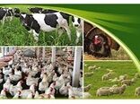 توانمندسازی دامداران در کاهش ریسک و مدیریت خطرپذیری انواع بیماری ها با بیمه 